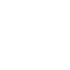 Research Icon